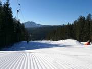 Very good slope grooming