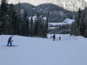 Difficult slope 14 Balbach-Ochsengarten