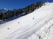 Very good slope grooming at Penken