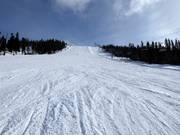 Difficult slope Stora backen in Tandådalen