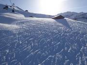 Powder tracks next to the FIS slope in Lenk