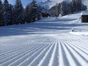 Very well-groomed slopes in the Christlum
