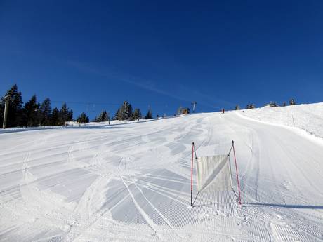 Ski resorts for advanced skiers and freeriding Eastern Bavaria (Ostbayern) – Advanced skiers, freeriders Arber
