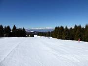 Easy slope Paut-Bus de la Nef No. 23b