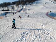 Easy slope Zielona