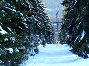 Predigtstuhl II - Herzerllift - T-bar