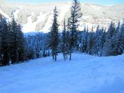 Double Diamond descent on Mt. Morrisey