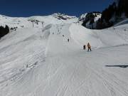 Easy slope at the Spycher drag lift