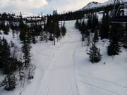 The trails lead directly through the ski resort