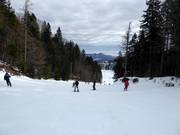 Easy slope at the drag lift in the valley area