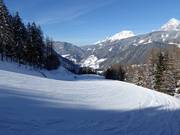 Schnepfen run on the Reiteralm