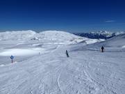 Easy ski glide trail Gottesacker