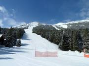 Whiskey Jack downhill run