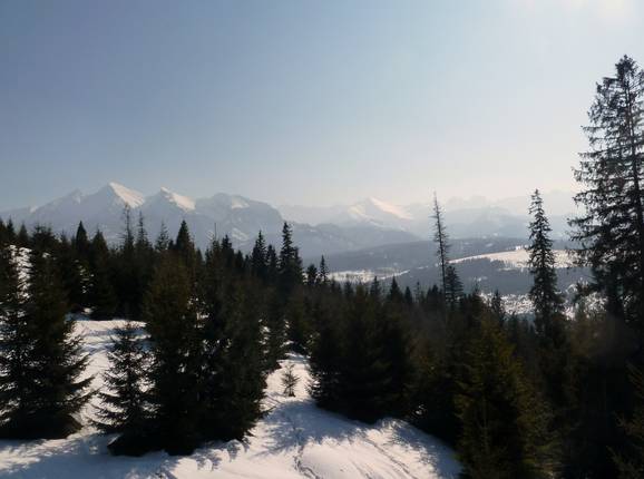 View of the High Tatras Mountains from Jurgów