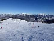 Easy Kammerkör Run (Steinplatte)