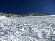 Wide powder snow slope on the Sareiserjoch