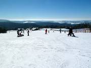 Easy slope at the Almwiesenlift