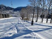 Jaudenhanglift 2 - T-bar