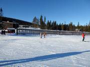 LR1 Rullband Söderåstorget - People mover/Moving Carpet with cover
