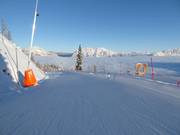 Easy valley run parallel to the toboggan track