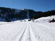 Madilsrunde trail (Alp Tannenboden)