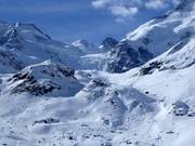 Morteratsch Glacier Run