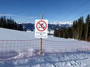 Protection of the forest