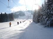 Sorgschrofenlift 1 - T-bar