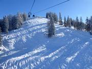 Powder slopes at the Alpbach-Wildschönau connecting lift