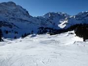 Körbersee slope in Schröcken