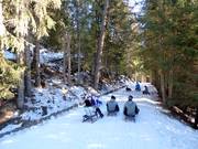 Rosskopf toboggan run