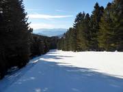 Intermediate slope Doladizza