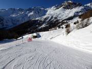 Easy beginner slope Scoiattolo at the Tarlenta mid-station