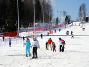 You can also find perfect terrain for families at lift C.