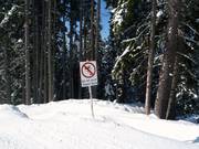Entering the forest is prohibited