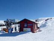 Familietrekket - T-bar