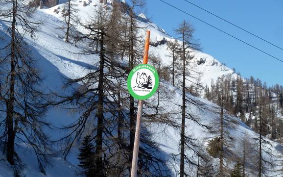 Nassfeld-Pressegger See: environmental friendliness of the ski resorts – Environmental friendliness Nassfeld – Hermagor