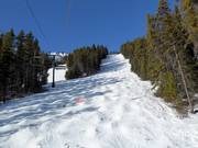 Mogul run Kapoof at Mount Norquay