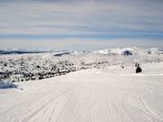 Family Run Familiebakken