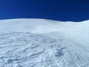 Slope and Freeride Zone Lomnické sedlo