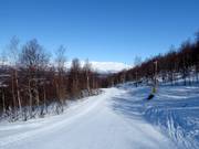 Slope No. 22 Norrstråket