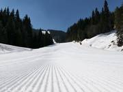 Very well-groomed slopes in Pamporovo