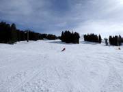 Sporty forest run to Aebi