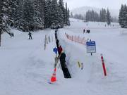 Porcupine - People mover/Moving Carpet