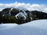 View of the slopes at Mount Strachan
