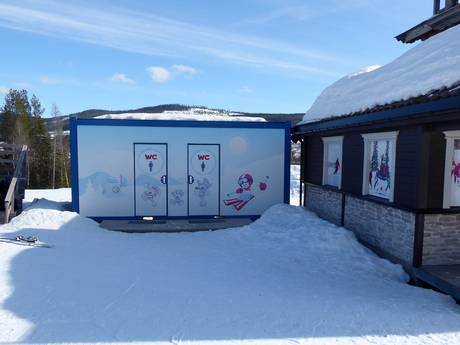 Skistar: cleanliness of the ski resorts – Cleanliness Trysil