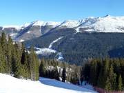 View from the Rotwand to the Stiergarten