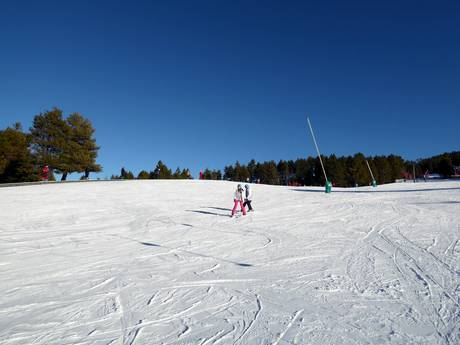 Ski resorts for beginners in the Spanish Pyrenees – Beginners La Molina/Masella – Alp2500