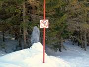 Skiing through the forest is forbidden