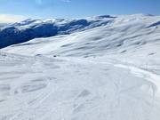 Easy slope Hyrtamyra No. 19